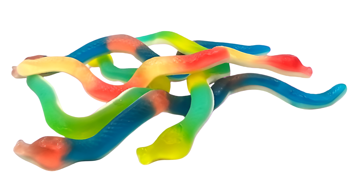 Serpents lisses (100g)