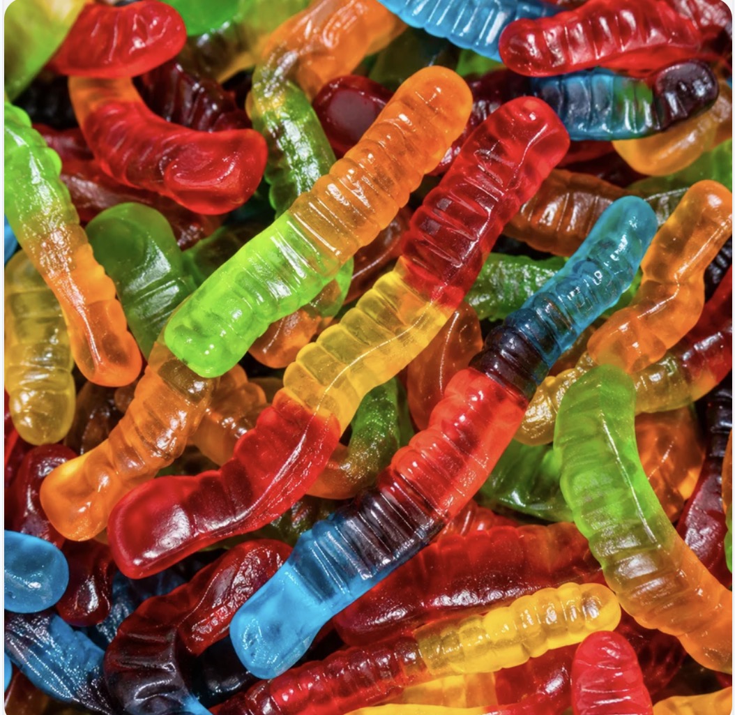 Vers de terre 🪱 lisses (100g)