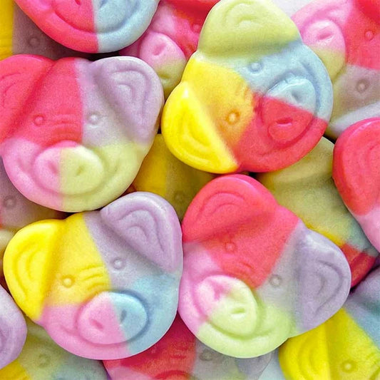 Cochon Végane (100g)