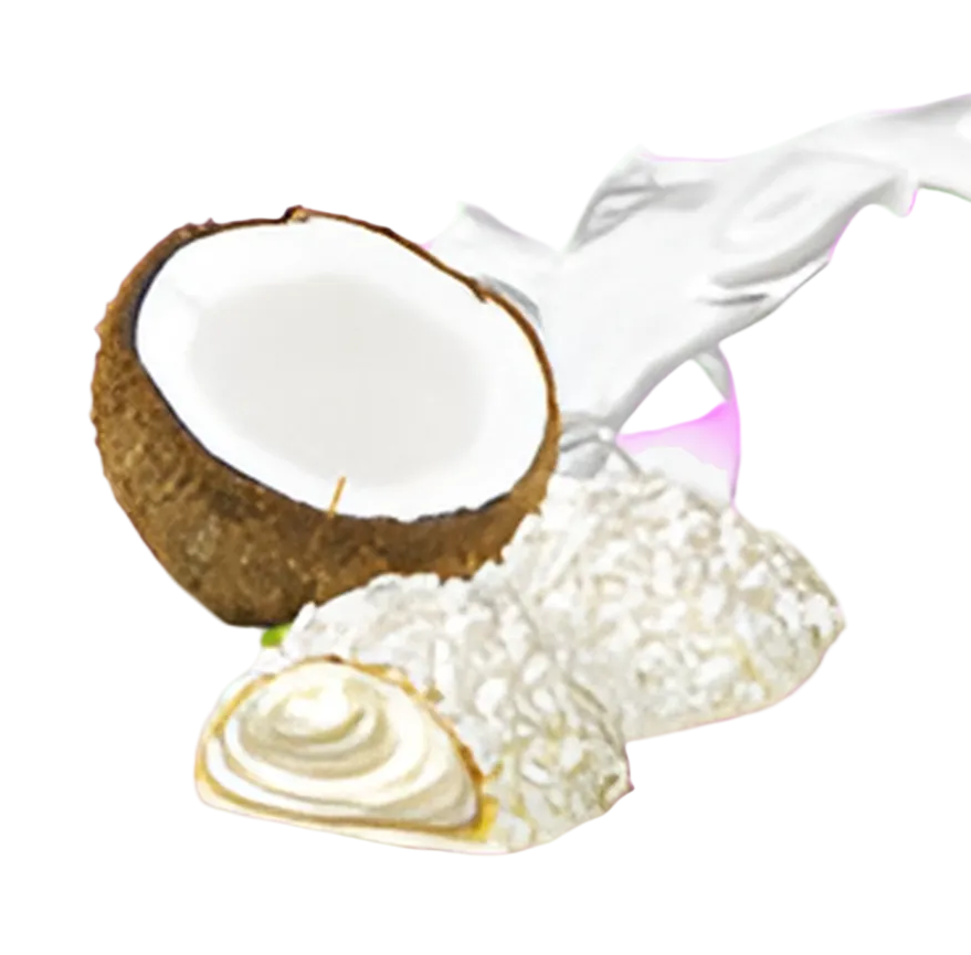 Boule  Noix de Coco 🥥🌱