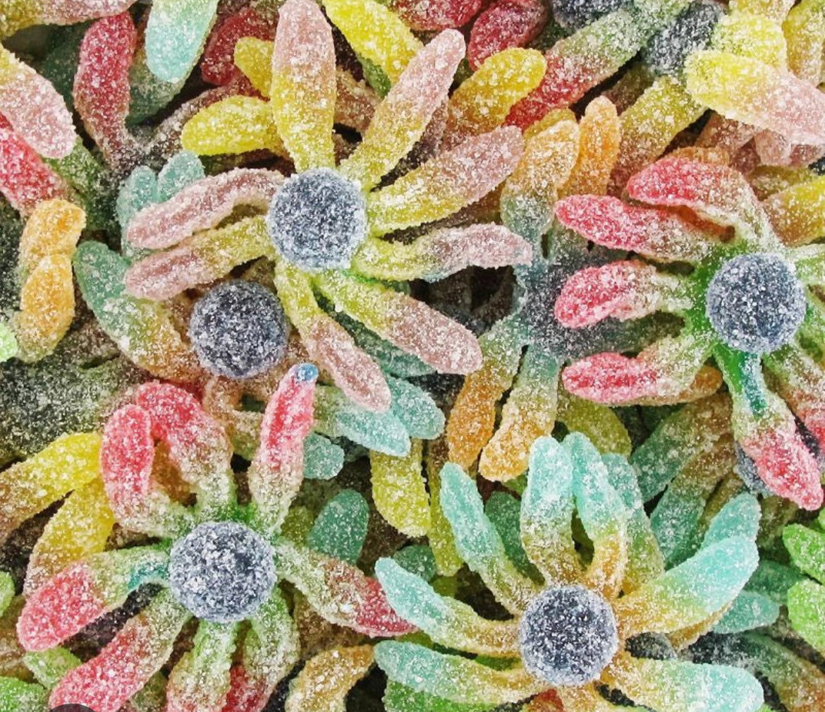 Poulpe Sucrée (100g)